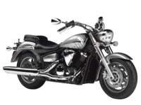 All original and replacement parts for your Yamaha XVS 1300A 2011.