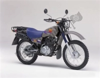 Todas as peças originais e de reposição para seu Yamaha AG 200 FE 2019.