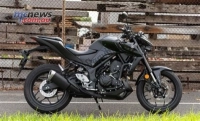 Todas as peças originais e de reposição para seu Yamaha MT 03 LAH MTN 320 AH 2017.