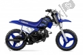 Todas as peças originais e de reposição para seu Yamaha PW 50 2021.