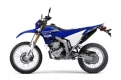 Todas las piezas originales y de repuesto para su Yamaha WR 250R 2019.