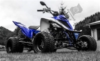 Tutte le parti originali e di ricambio per il tuo Yamaha YFM 700 Fbpseg 2017.