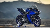 Alle originele en vervangende onderdelen voor uw Yamaha Yzf-r3A Yzf-r3 300 2018.