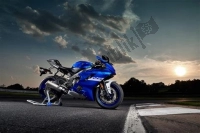 Todas as peças originais e de reposição para seu Yamaha YZF 320A 2020.