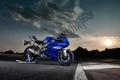 All original and replacement parts for your Yamaha YZF 320A 2020.