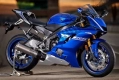 Todas las piezas originales y de repuesto para su Yamaha YZF 600 2017.