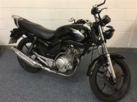 Alle originele en vervangende onderdelen voor uw Yamaha YB 125 SPD 2008.