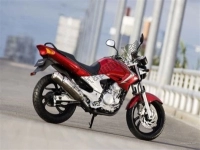 Tutte le parti originali e di ricambio per il tuo Yamaha YBR 250 2007.