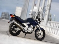 Todas as peças originais e de reposição para seu Yamaha YBR 250 2011.