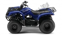 All original and replacement parts for your Yamaha YFM 125 Grizzly 2X4 2012.