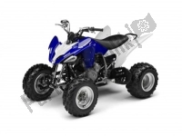 Todas as peças originais e de reposição para seu Yamaha YFM 250R 2010.