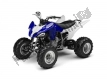 All original and replacement parts for your Yamaha YFM 250R 2010.