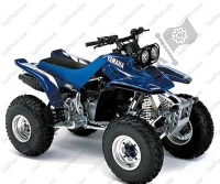 All original and replacement parts for your Yamaha YFM 350 Warrior 2004.