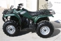 Wszystkie oryginalne i zamienne części do Twojego Yamaha YFM 350F Grizzly 2X4 2007.