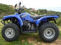 Todas as peças originais e de reposição para seu Yamaha YFM 350 FWA Grizzly 4X4 2013.