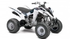 Todas as peças originais e de reposição para seu Yamaha YFM 350R Raptor 2013.