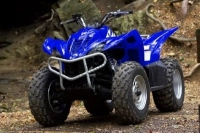 All original and replacement parts for your Yamaha YFM 450 FX Wolverine Sport 4X4 2006.