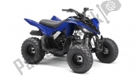 Todas as peças originais e de reposição para seu Yamaha YFM 90R 2010.