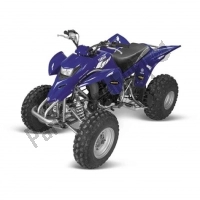 Todas as peças originais e de reposição para seu Yamaha YFS 200 Blaster 2005.