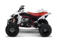 All original and replacement parts for your Yamaha YFZ 450 2009.