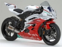 Tutte le parti originali e di ricambio per il tuo Yamaha YZF R6 600 2007.