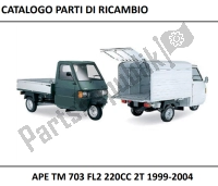 Tutte le parti originali e di ricambio per il tuo APE TM 703 220 2008 - 2022.