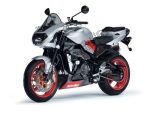 Aprilia RSV 1000 Tuono R - 2002 | Alle Teile