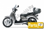 Aprilia Scarabeo 250  - 2004 | Toutes les pièces