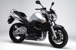 Telaio, carrozzeria, parti metalliche per il Suzuki GSR 600 U - 2008