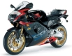 Todas as peças originais e de reposição para seu Aprilia RSV Mille R GP1 Limited Edition 3963 1000 2003.