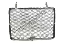 Here you can order the radiator protection from R&G, with part number RAD0226TI: