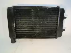 Aprilia AP8102951 radiator - Lower part