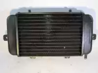 17117666804, BMW, radiator BMW C1 125 200, Gebruikt