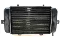 17117666804, BMW, radiator BMW C1 125 200, Gebruikt