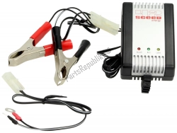 Here you can order the battery charger from BGM, with part number 2243218: