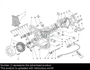 Ducati 24710831AE copricatena - Vista semplice