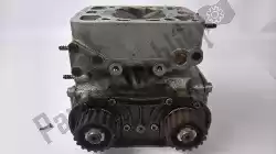 Here you can order the cylinder head from Ducati, with part number 30120791A: