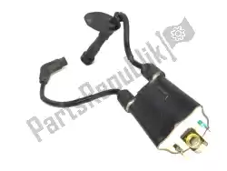 Here you can order the ignition coil with spark plug cable and spark plug caps from Honda, with part number 30510MM8003: