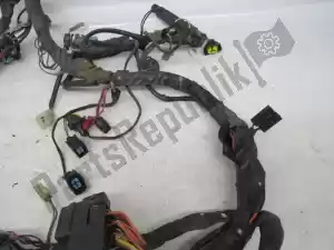 suzuki 3661010G80000 wiring harness - Right side