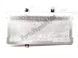 Here you can order the radiator protection from Kawasaki, with part number 390615001: