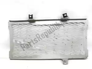 kawasaki 390615001 radiator protection - Upper side