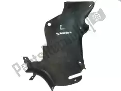 Here you can order the side fairing from BMW, with part number 41312329019: