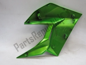 Kawasaki 49133516551P carénage latéral, vert, la gauche - Côté gauche
