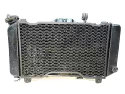 radiateur van Yamaha, met onderdeel nummer 4TX124610000, bestel je hier online: