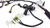 51010602D, Ducati, Wire harness, Used