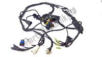 51011111B, Ducati, Wire harness, Used