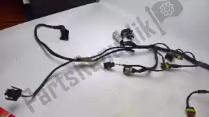 Ducati 51011111b arnés de cables - Lado izquierdo