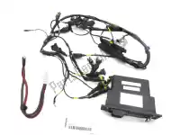 51012272A, Ducati, main wiring ducati  supersport 1000 2004 2005 2006, New