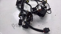 51014711A, Ducati, Electrical wiring, Used