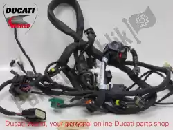 Here you can order the wiring from Ducati, with part number 51015912C: